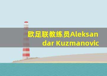 欧足联教练员Aleksandar Kuzmanovic